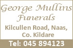 mullinslogoA.jpg